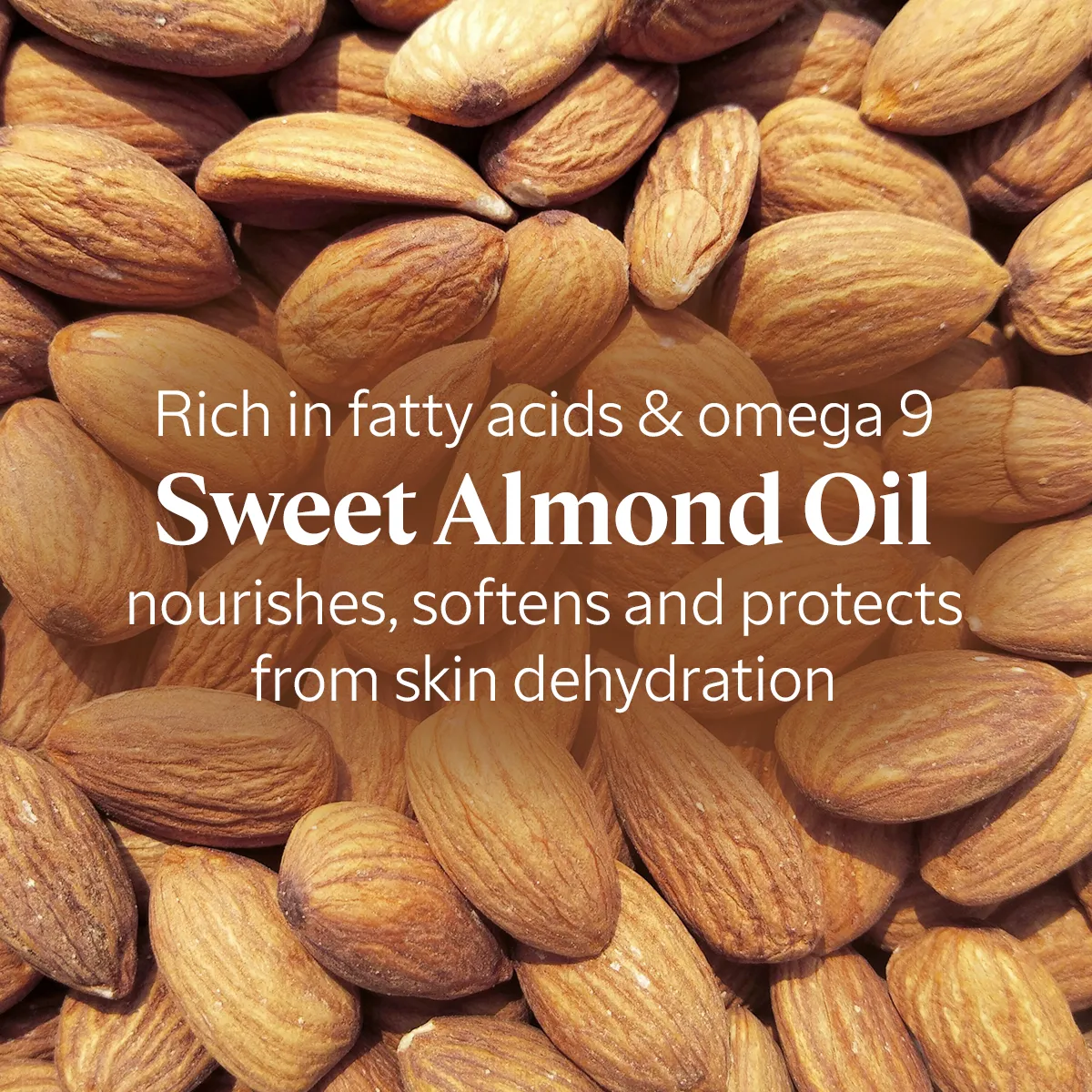 Almond Milk Concentrate