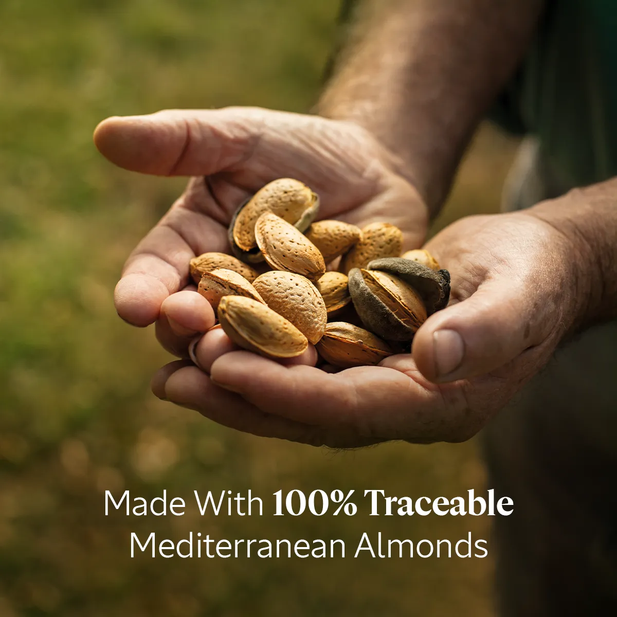 Almond Milk Concentrate