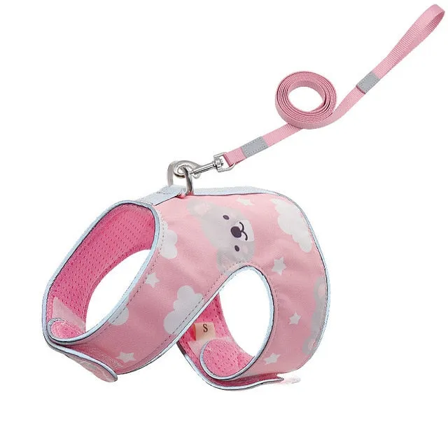 Anti-lost Reflection Cat Harness Leash and Reflective Collar.
