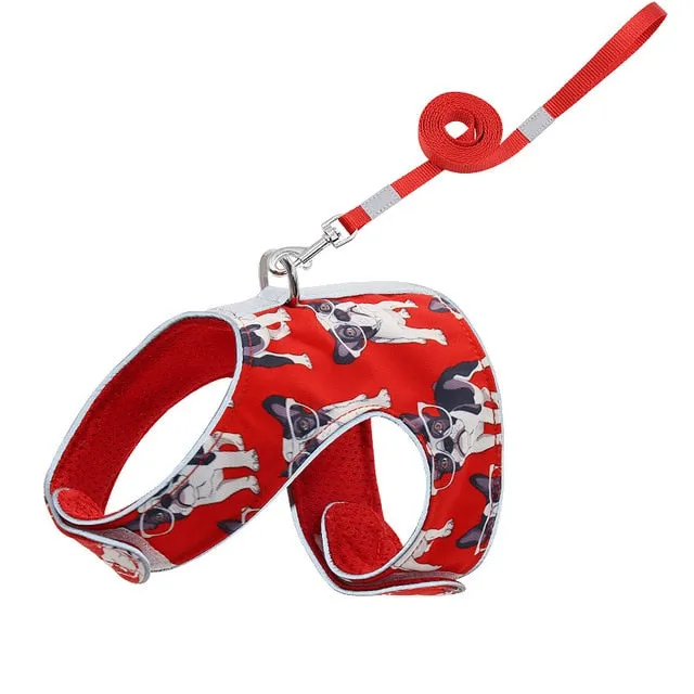 Anti-lost Reflection Cat Harness Leash and Reflective Collar.
