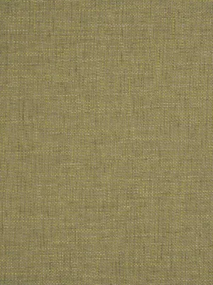 Cadiz - Sage