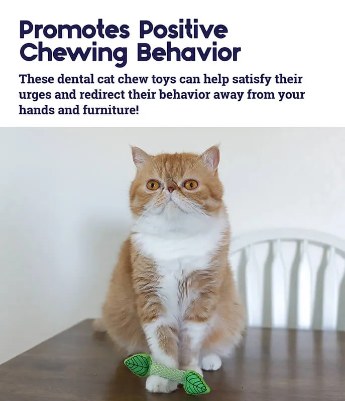 Catstages Mint Stick Dental Chew Toy