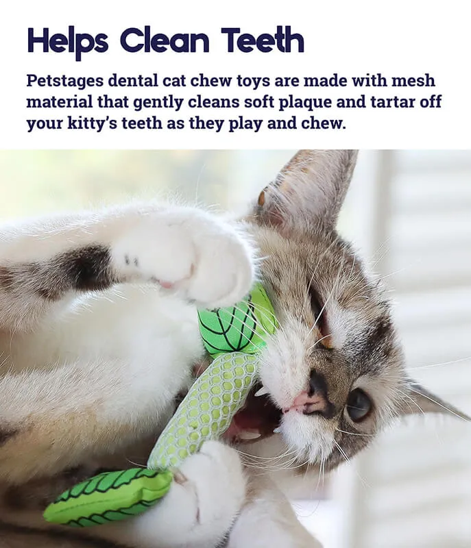 Catstages Mint Stick Dental Chew Toy