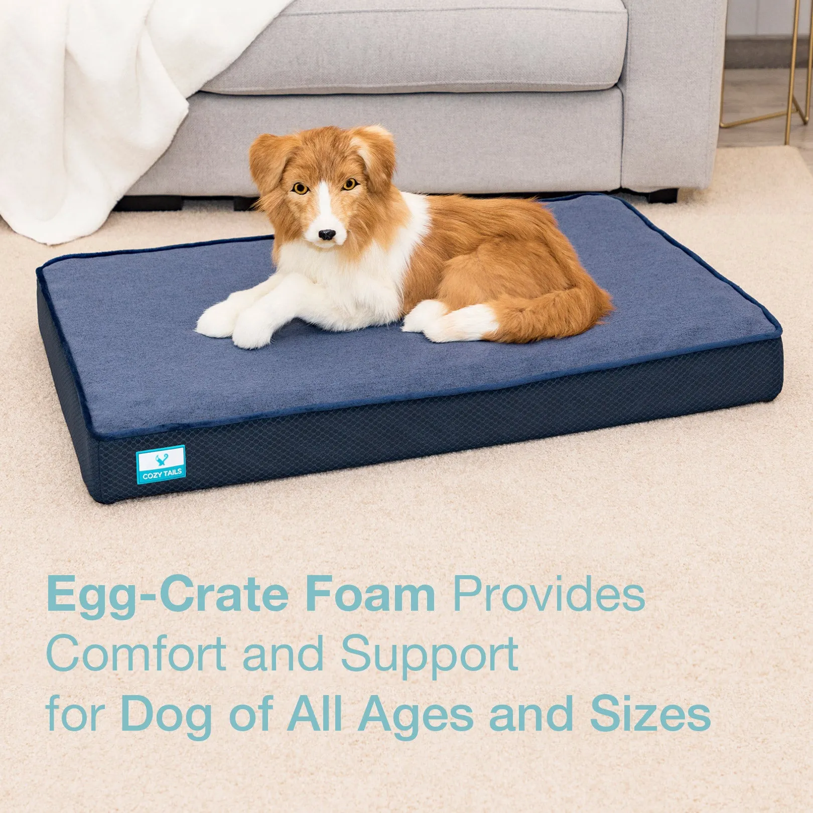 CT004  Egg Crate Bamboo Charcoal Foam/Memory Foam Pet Bed