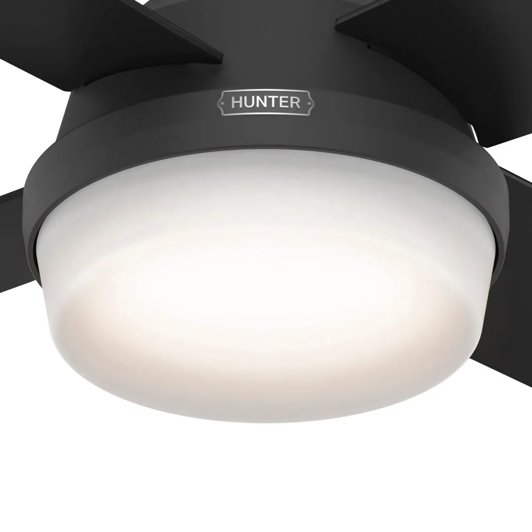 Dempsey 44" 4 - Blade Standard Ceiling Fan with Lights and Remote Hunter Fan Finish: Matte Black