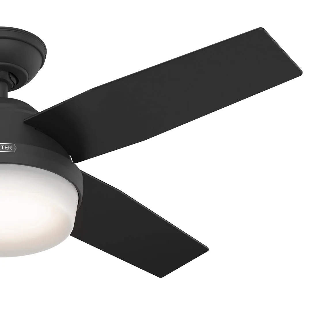 Dempsey 44" 4 - Blade Standard Ceiling Fan with Lights and Remote Hunter Fan Finish: Matte Black