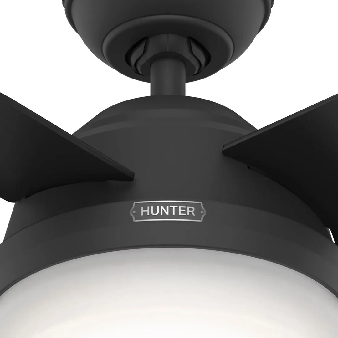 Dempsey 44" 4 - Blade Standard Ceiling Fan with Lights and Remote Hunter Fan Finish: Matte Black
