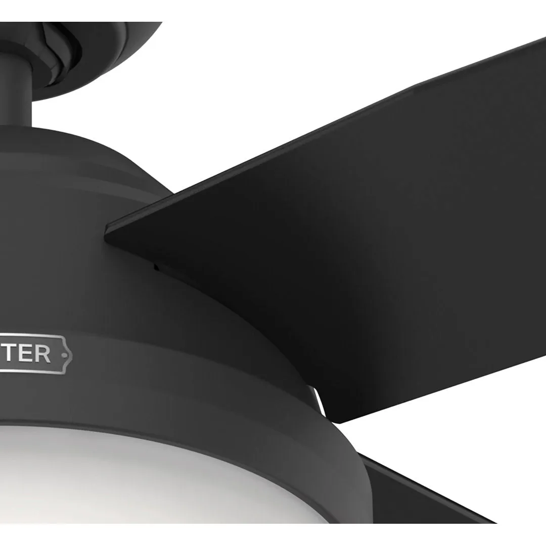 Dempsey 44" 4 - Blade Standard Ceiling Fan with Lights and Remote Hunter Fan Finish: Matte Black