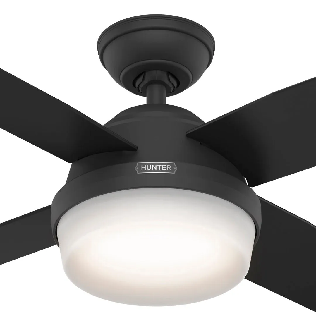 Dempsey 44" 4 - Blade Standard Ceiling Fan with Lights and Remote Hunter Fan Finish: Matte Black