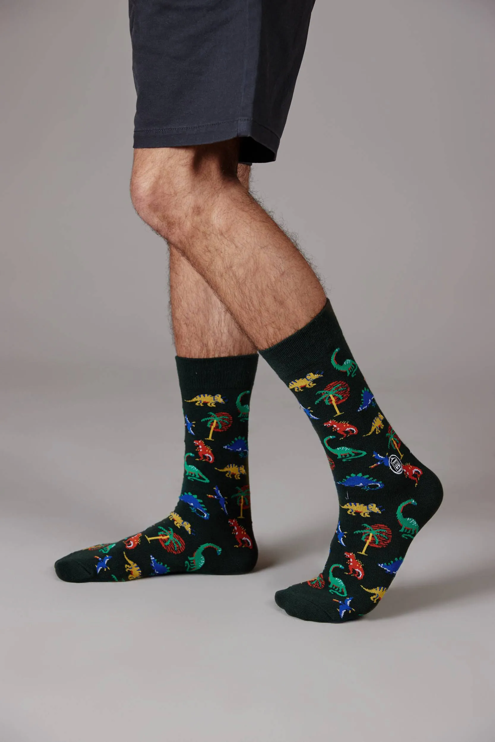 Dinosaur Socks