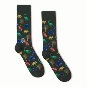 Dinosaur Socks