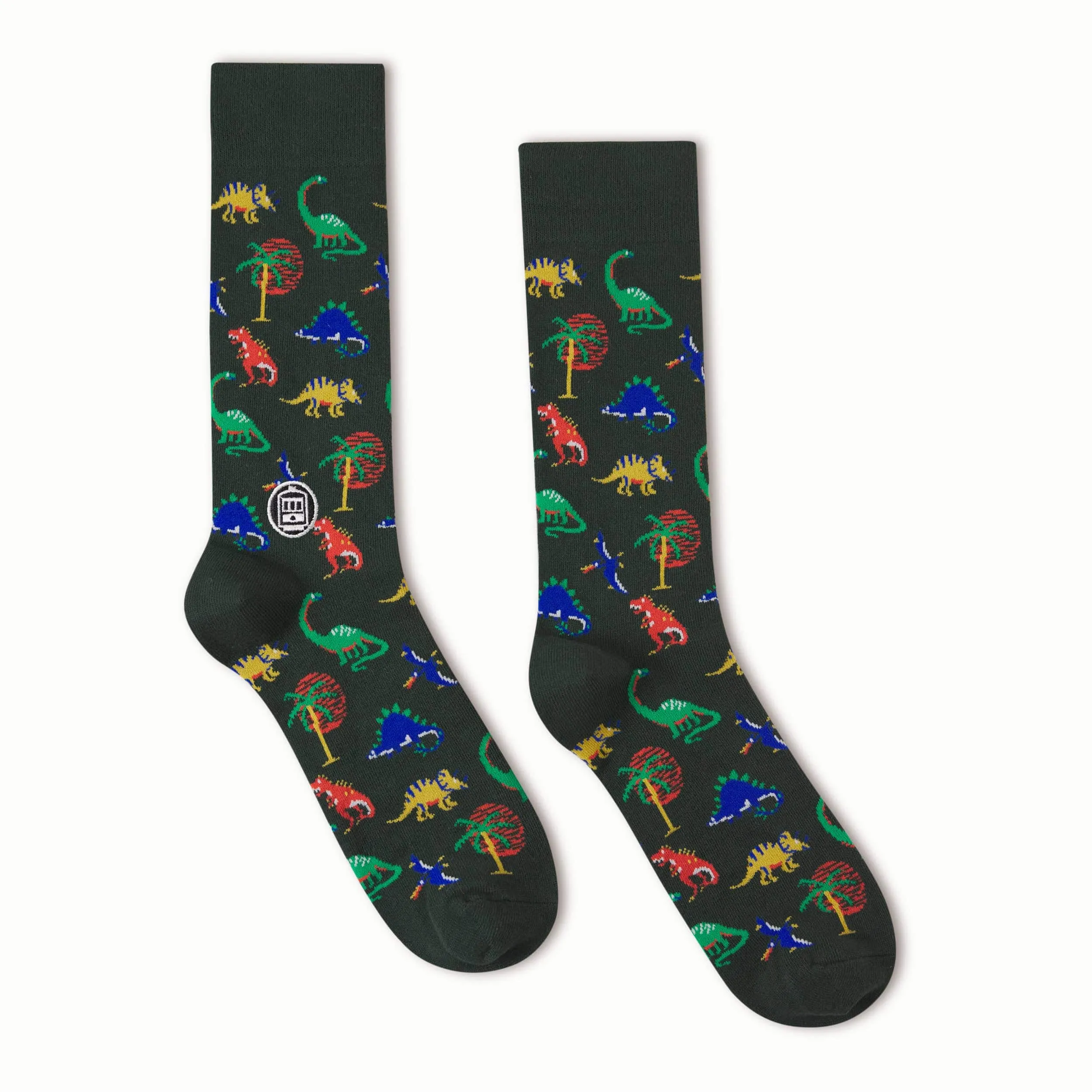 Dinosaur Socks