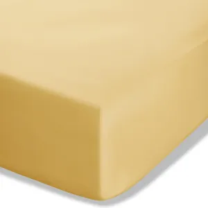 Easy Iron Percale Combed Fitted Sheet - Ochre