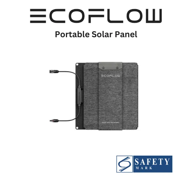 EcoFlow 60W Portable Solar Panel