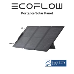 EcoFlow 60W Portable Solar Panel