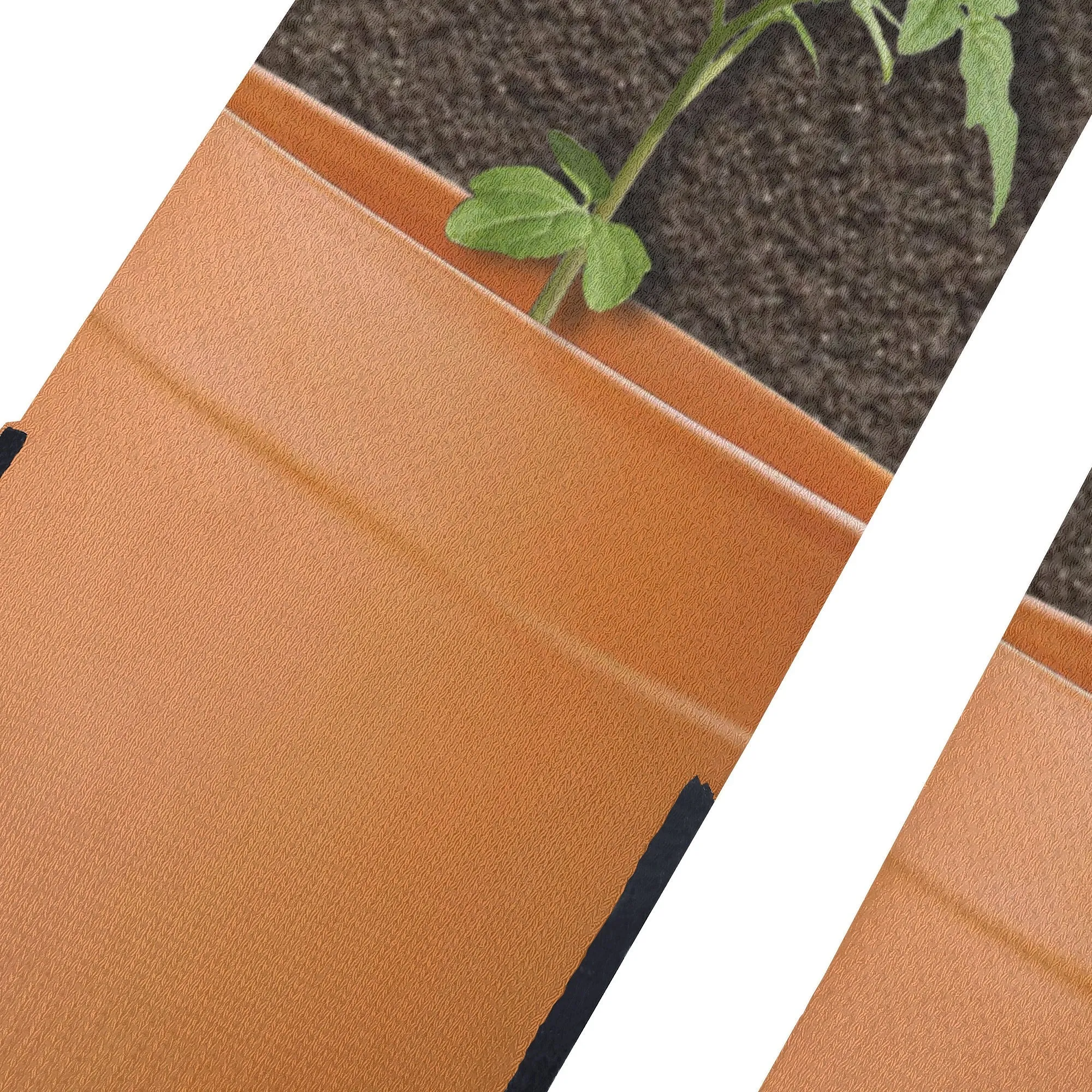 Garden Fresh Socks: Master Gardner