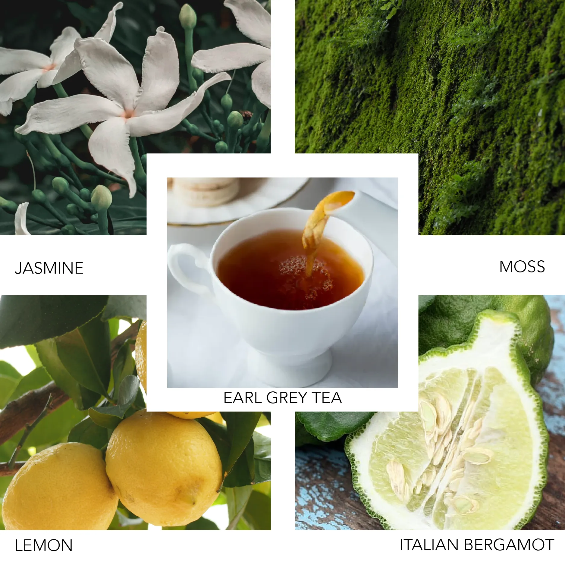 KIERIN SUNDAY BRUNCH - a Citrusy, Tea, Floral Eau de Parfum