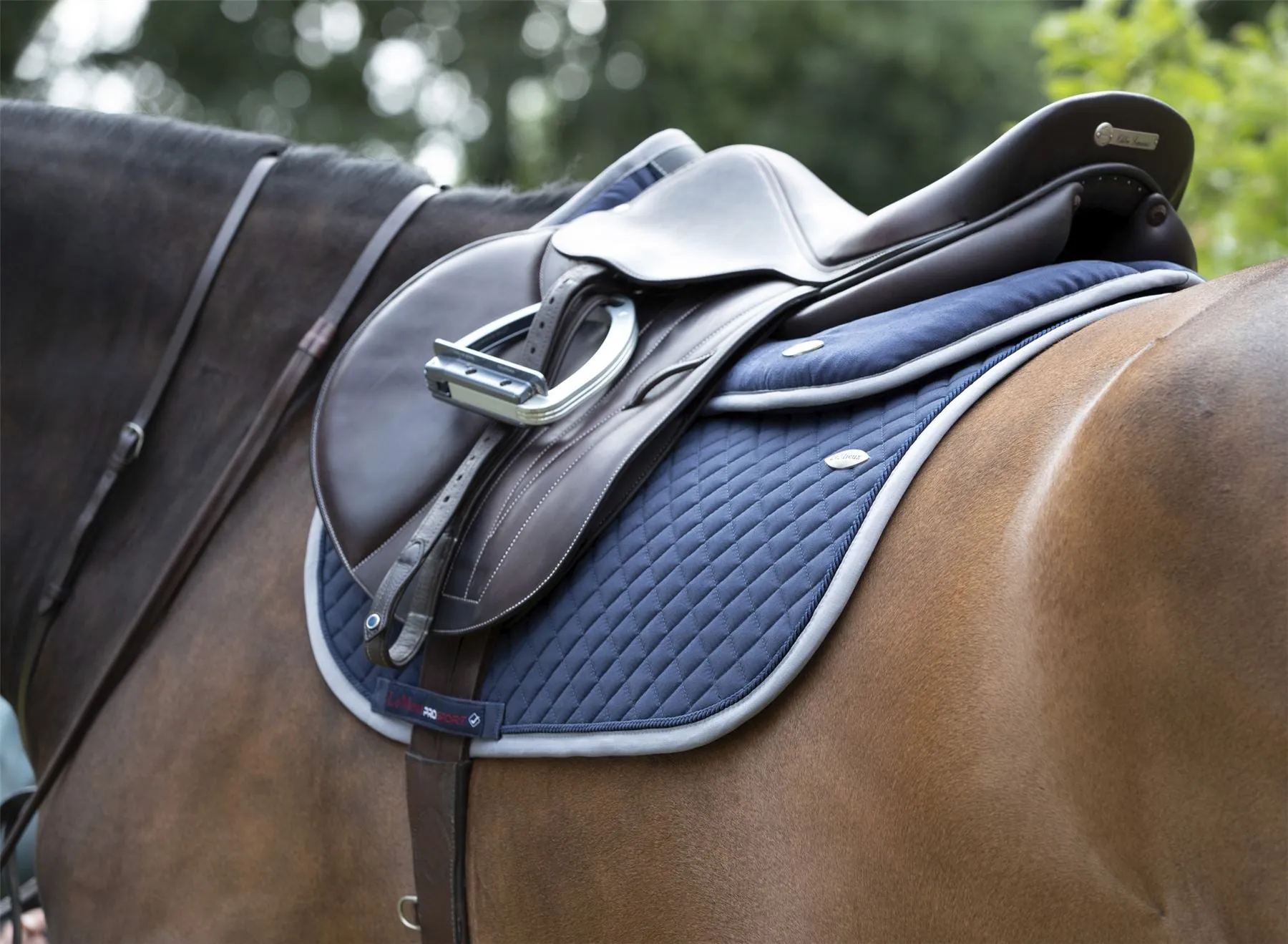 LeMieux Wither Relief Jump Pad
