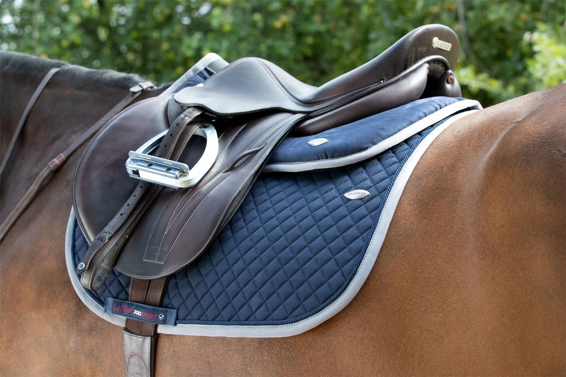 LeMieux Wither Relief Jump Pad