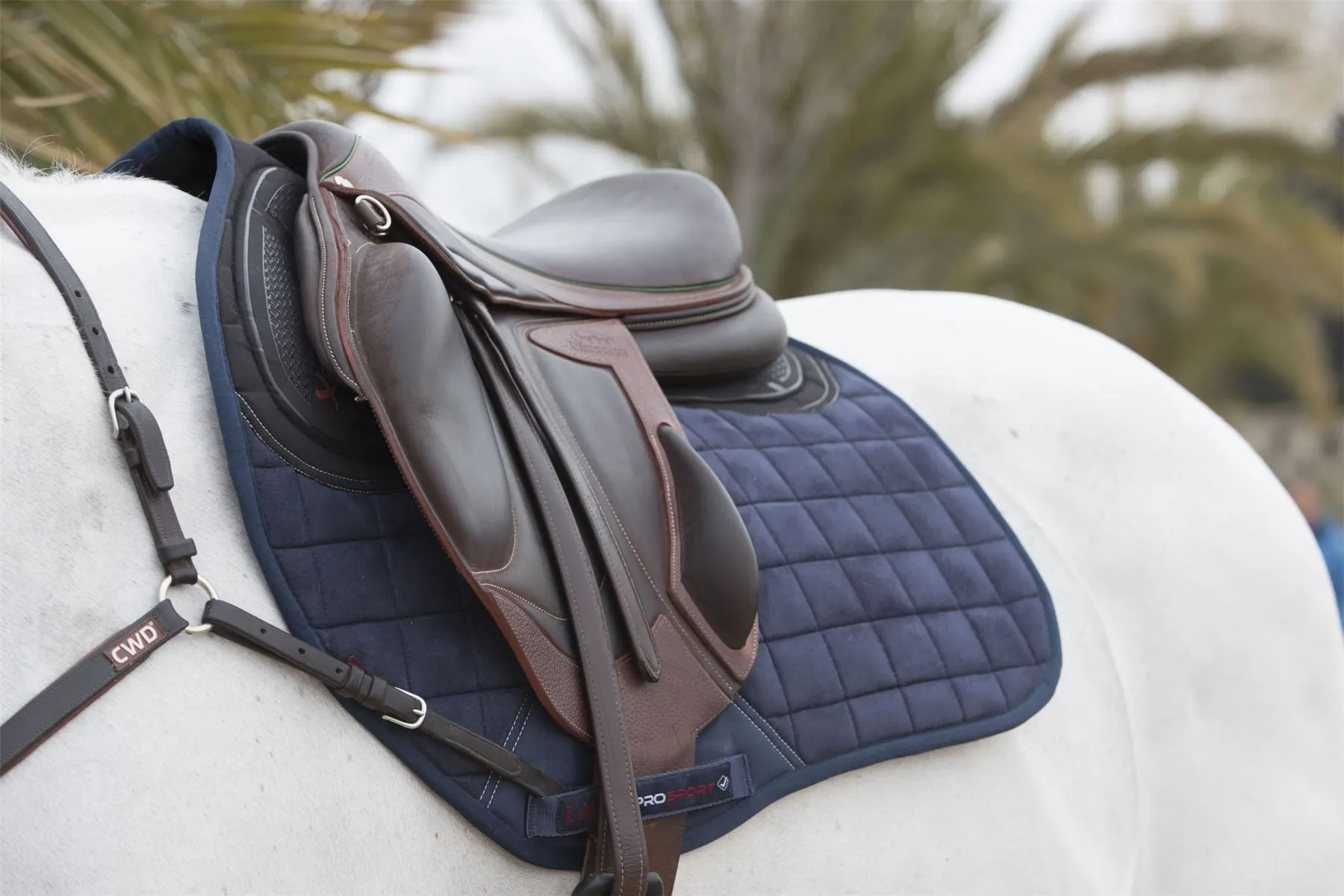 LeMieux X-Grip Silicone EuroJump Square