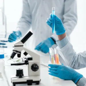Liver Function Blood Health Test