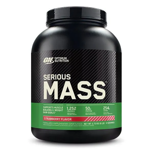 Optimum Nutrition Serious Mass Gainer Protein Powder