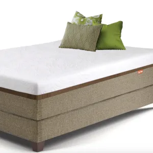 Plush Memory Foam Mattress