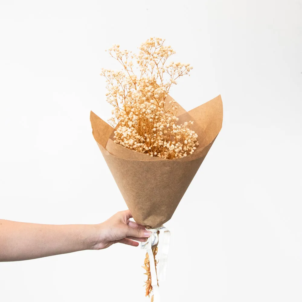 Preserved Baby’s Breath