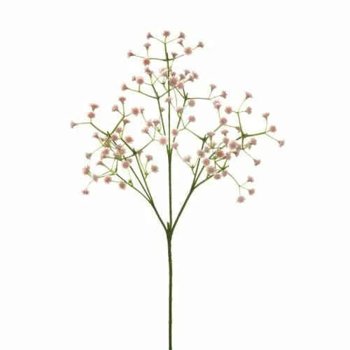 "Baby Breath" White £2.25