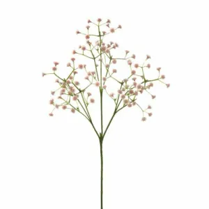 "Baby Breath" White £2.25