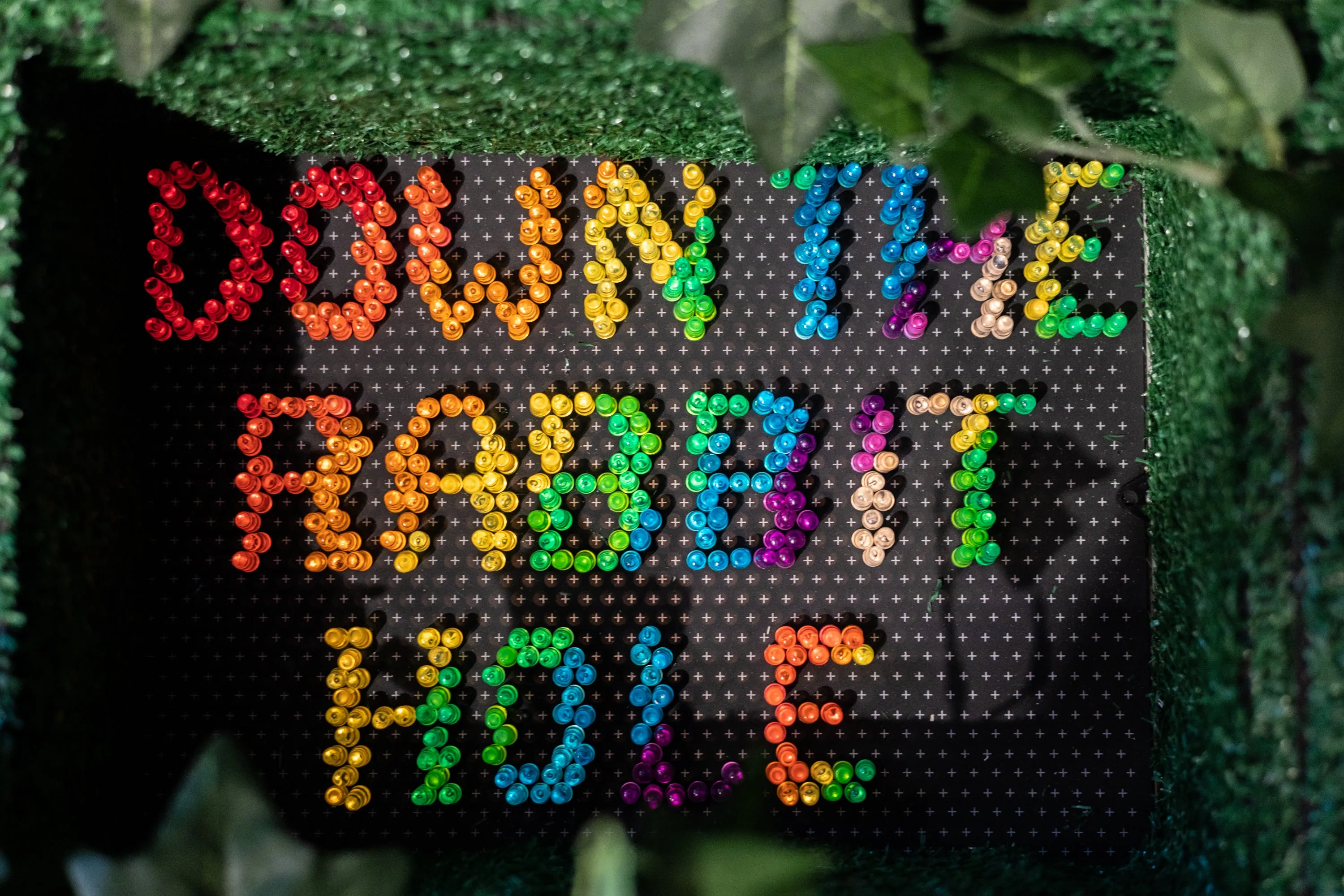 Rabbit Hole