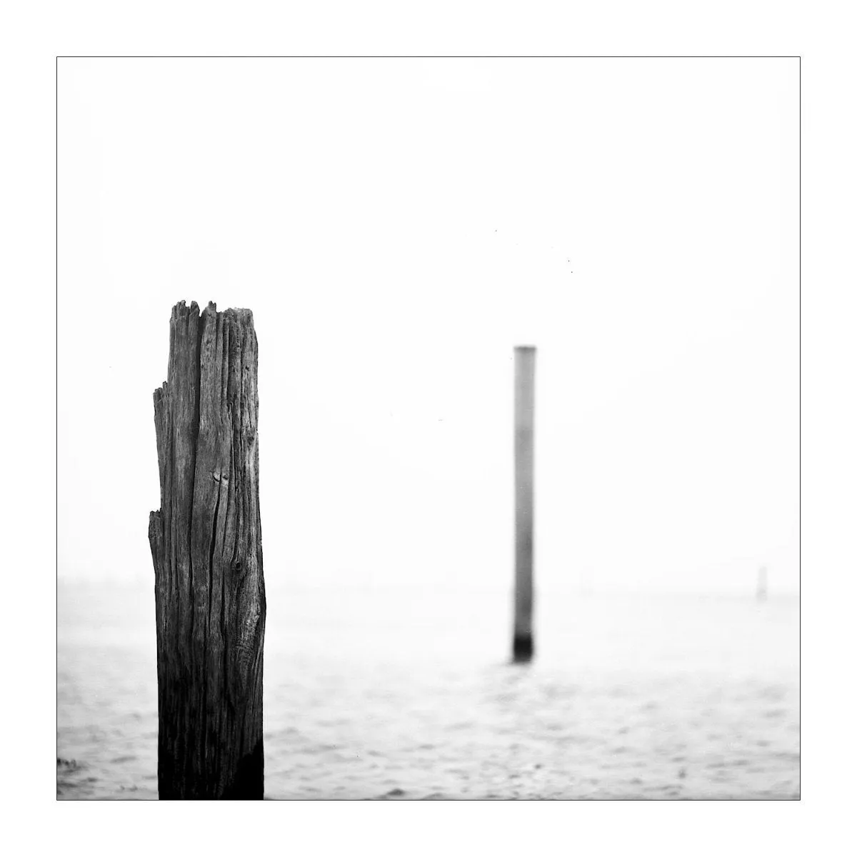 Rollei Ortho 25 - 120 Film
