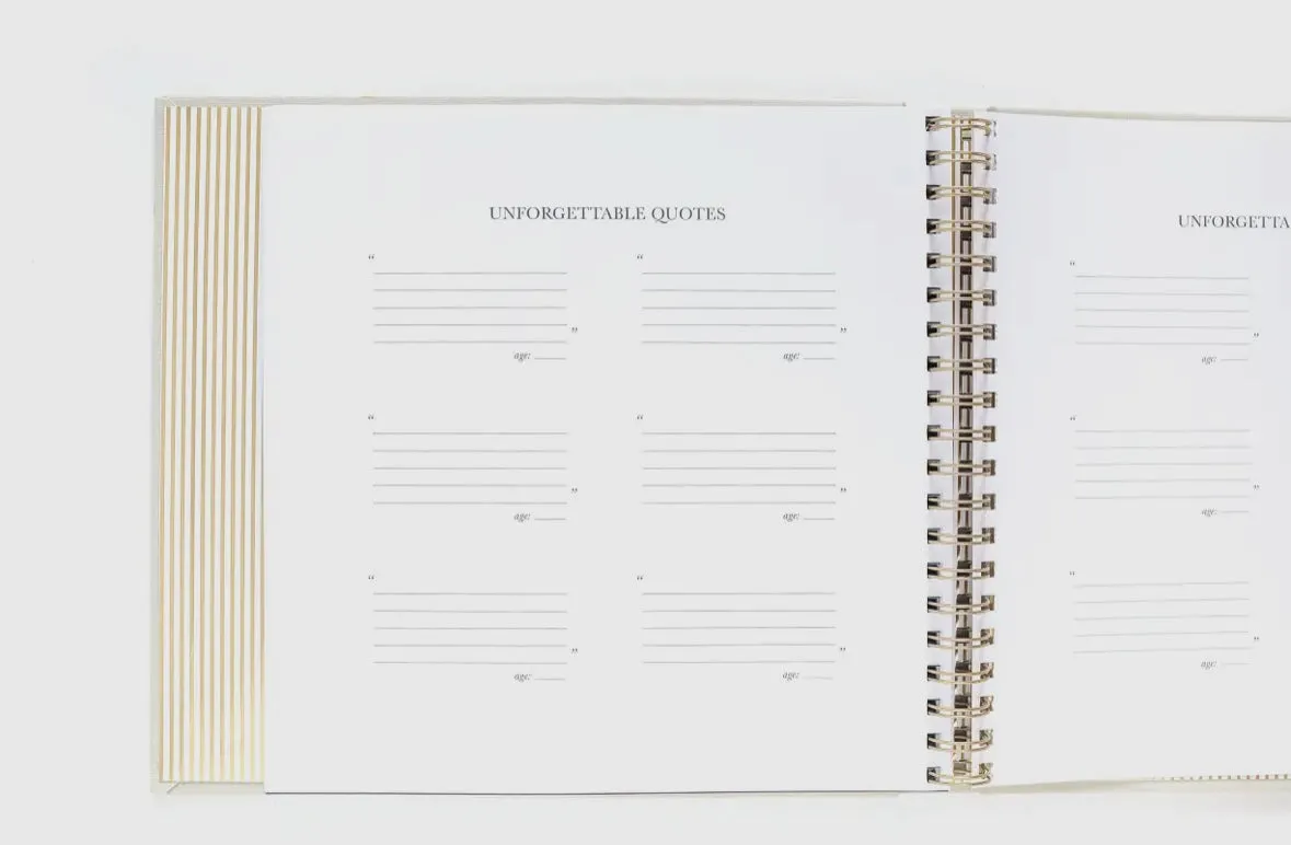 The Baby Memory Book