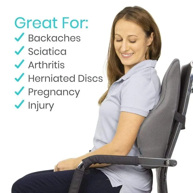 Vive Full Lumbar Cushion