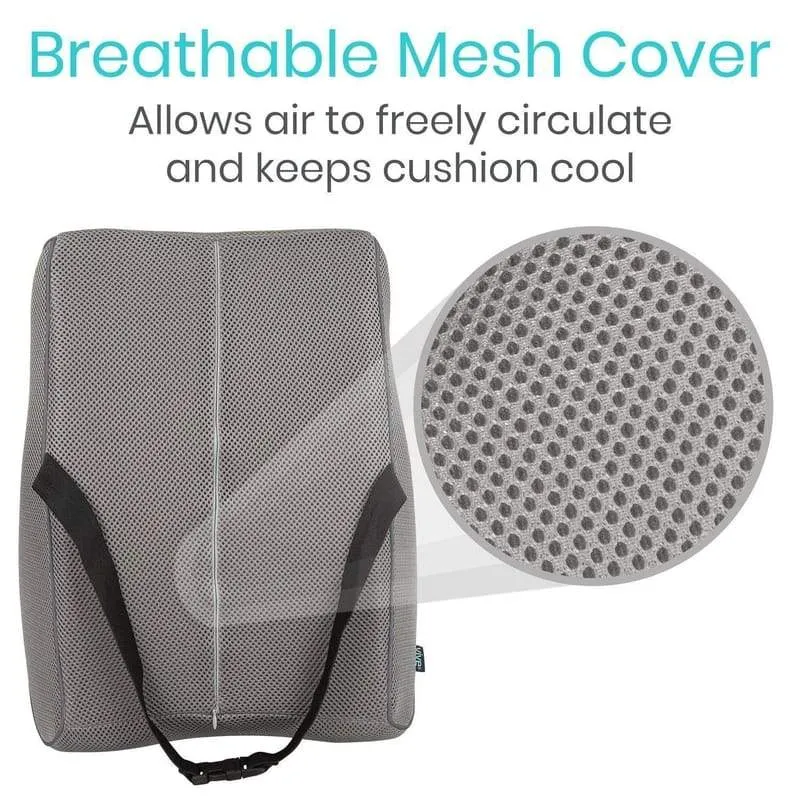 Vive Full Lumbar Cushion