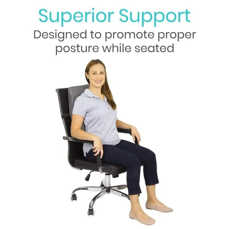 Vive Full Lumbar Cushion