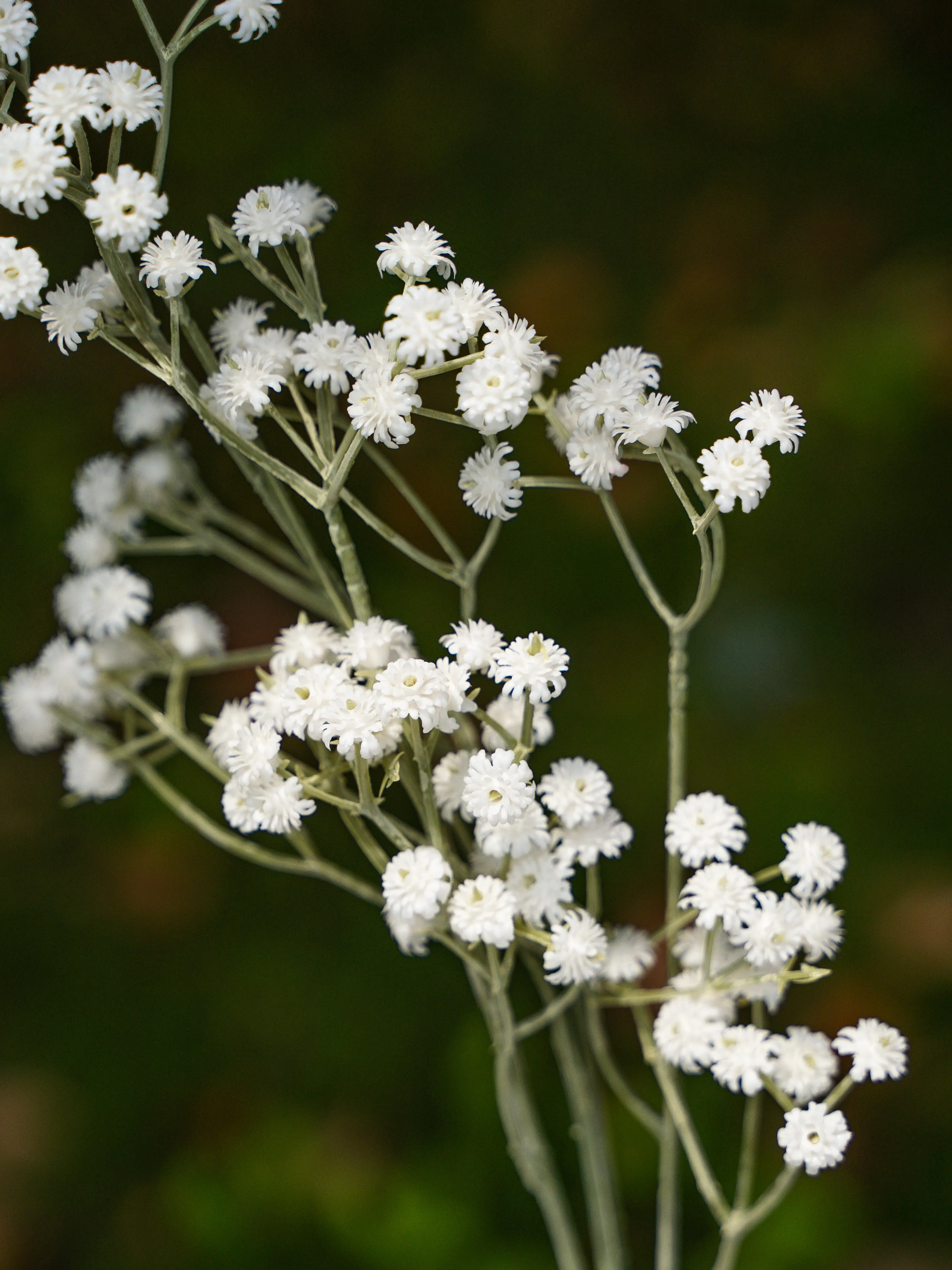 White Preserved Baby's Breath Bundle - 24"