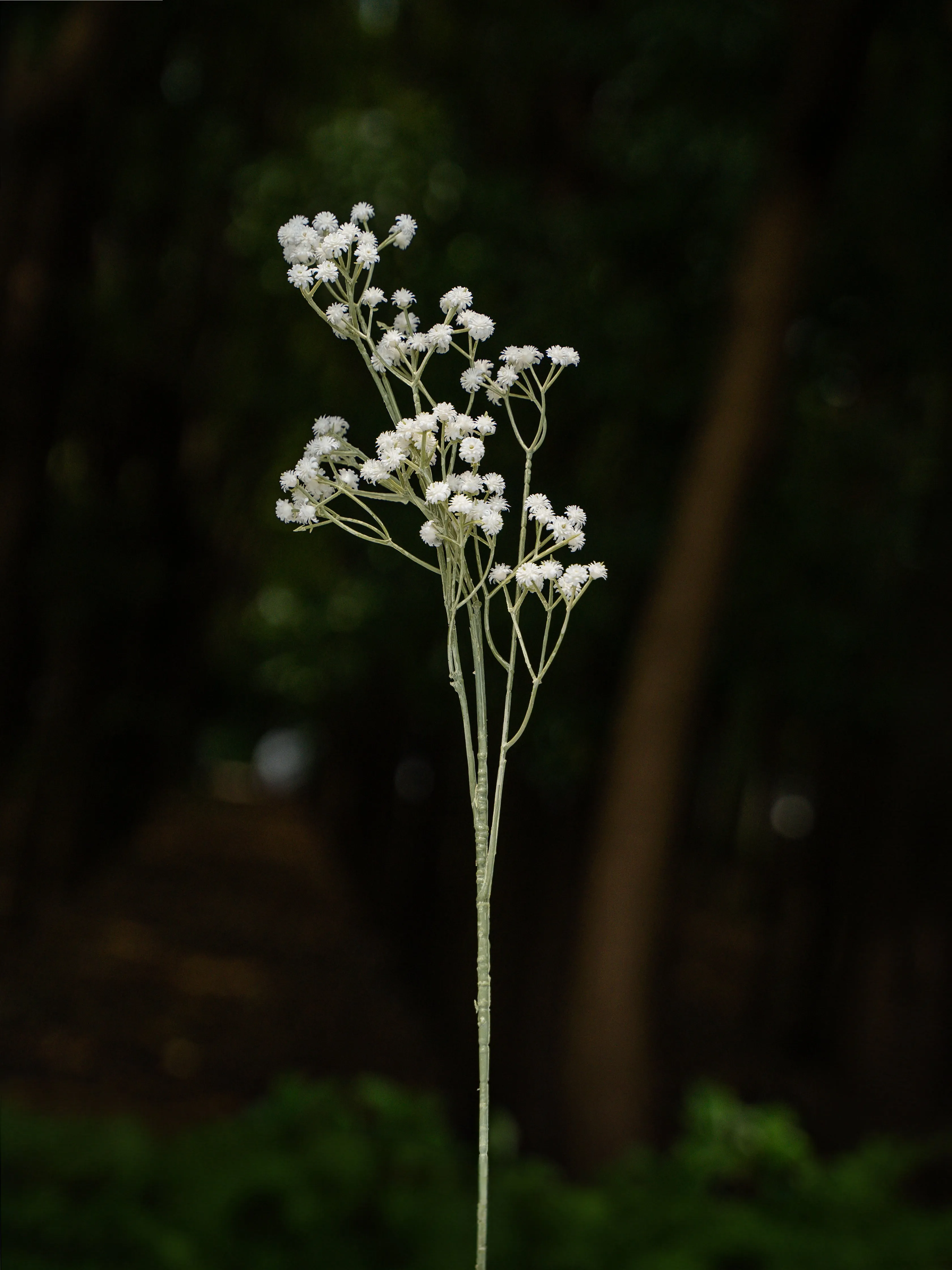 White Preserved Baby's Breath Bundle - 24"